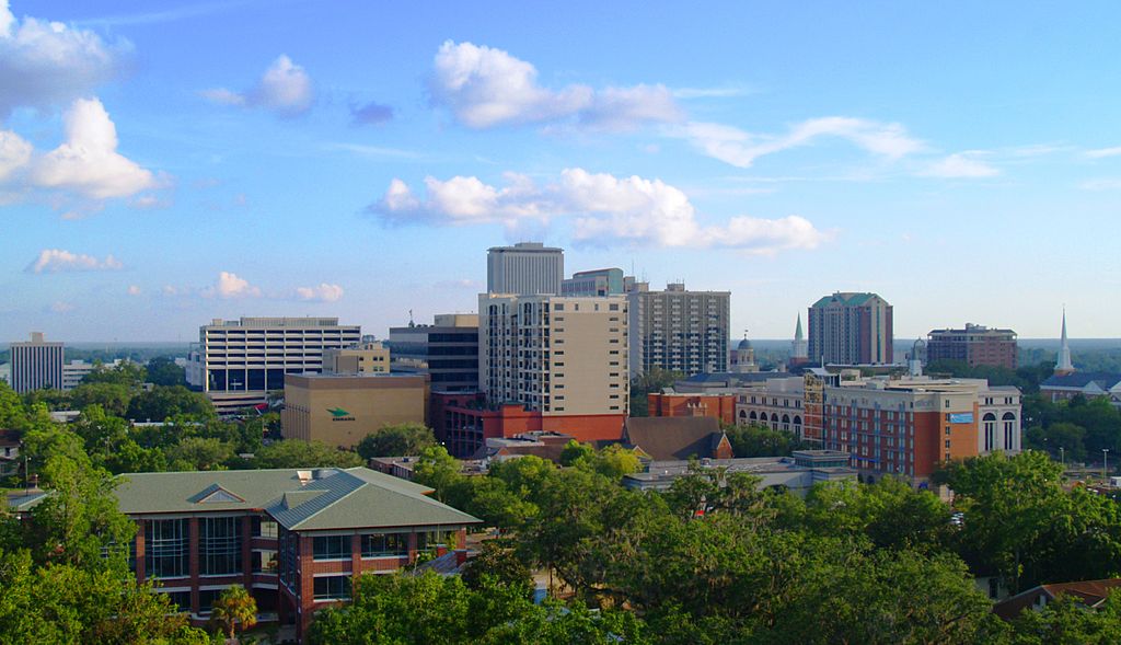 Tallahassee Female Strippers - City Skyline