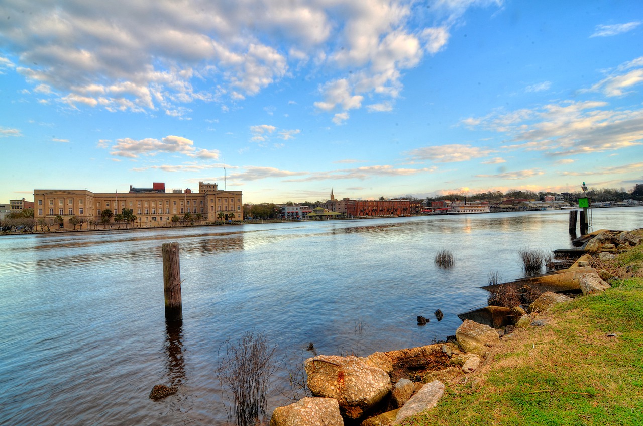 Wilmington Female Strippers - City Skyline